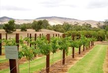 Barossa Valley